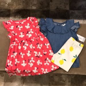 NWT Baby Girl Clothes Bundle